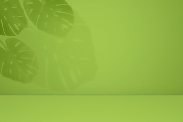 空怪物阴影纹理图案水泥绿色墙壁背景夏季热带最小的概念图片下载