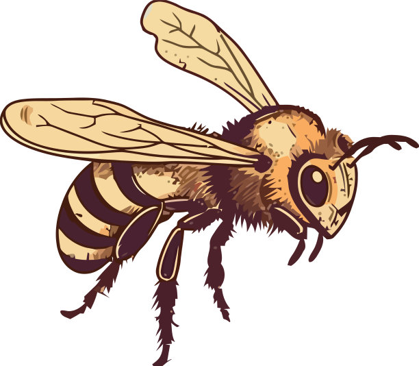 嗡嗡的蜜蜂为花昆虫授粉图片下载