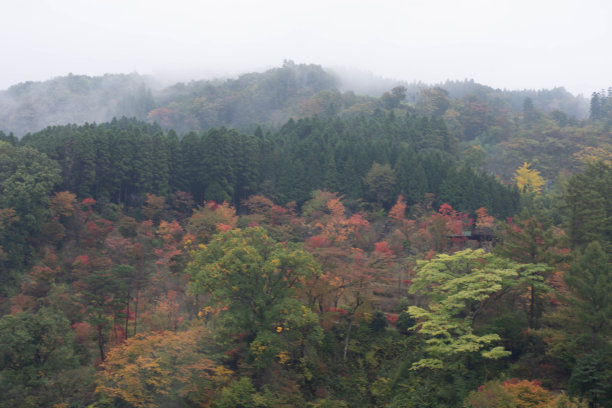 这也是大分的热门旅游景点。图片下载