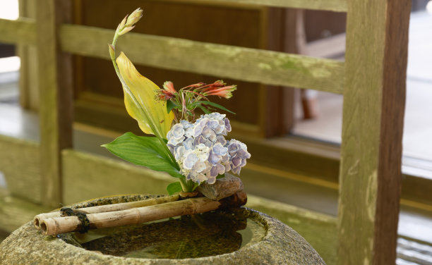 装饰日本复古文化建筑的绣球花图片下载