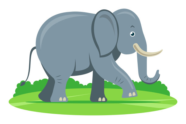 自然界中的灰象。平面矢量插图。图片下载