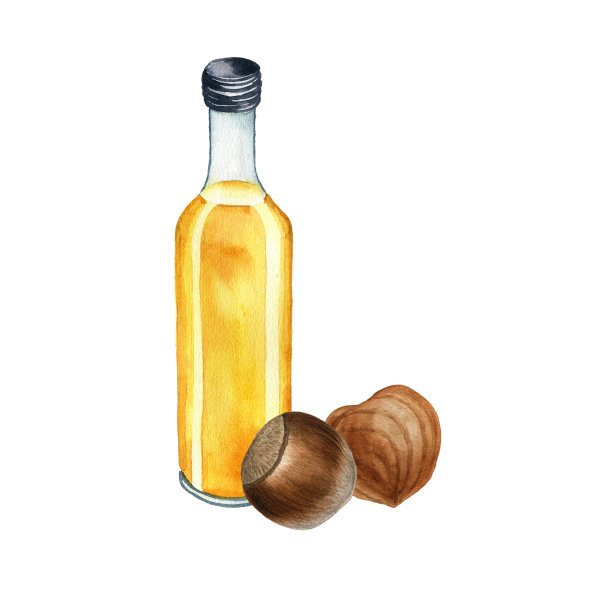 榛子油水彩画图片下载