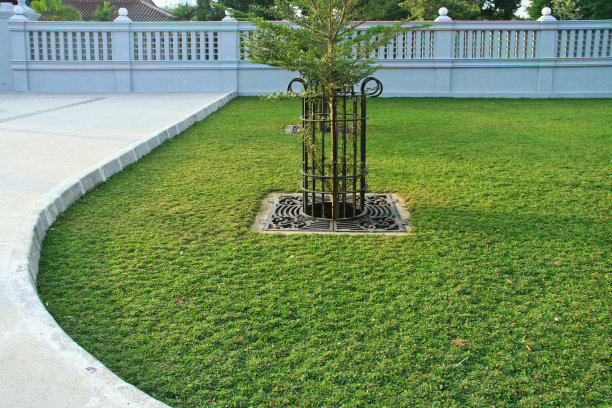 步行区周围有整洁的绿草的开放空间图片下载