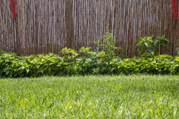 竹制篱笆图片下载