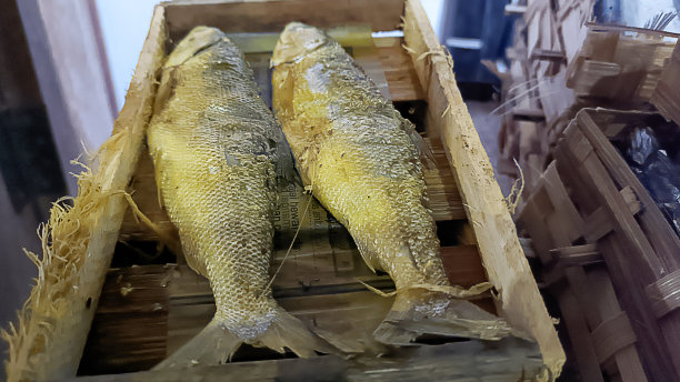 保存鱼类图片下载