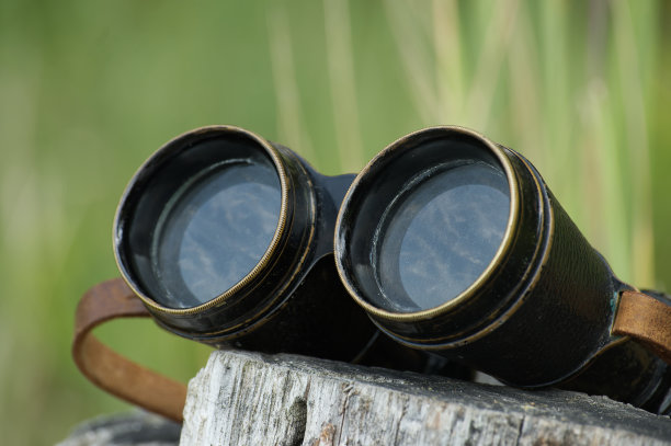 黑色的双筒望远镜放在树桩上图片下载