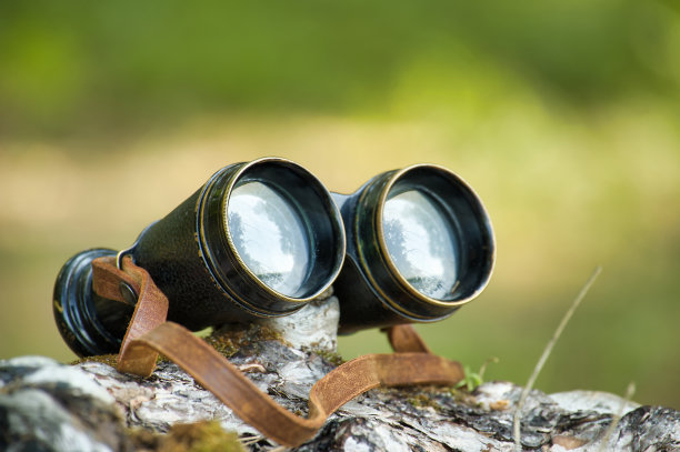 黑色的双筒望远镜放在树桩上图片下载