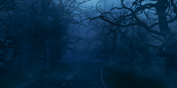 神秘的黑暗森林。笼罩在薄雾中的幽暗而忧郁的森林道路。万圣节夜的背景。黑暗森林的恐怖景观和可怕的树图片下载