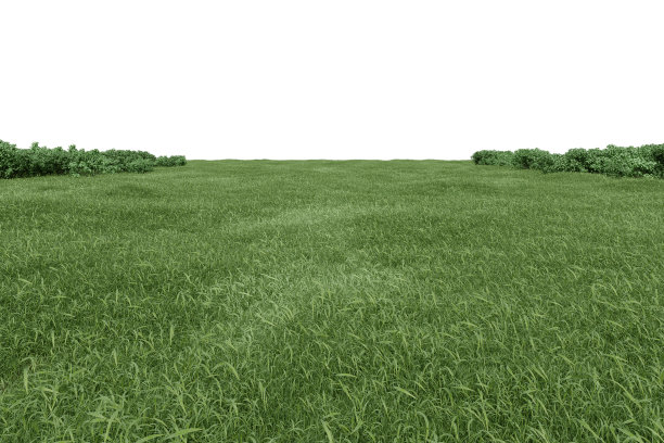 现实的草地与灌木。图片下载