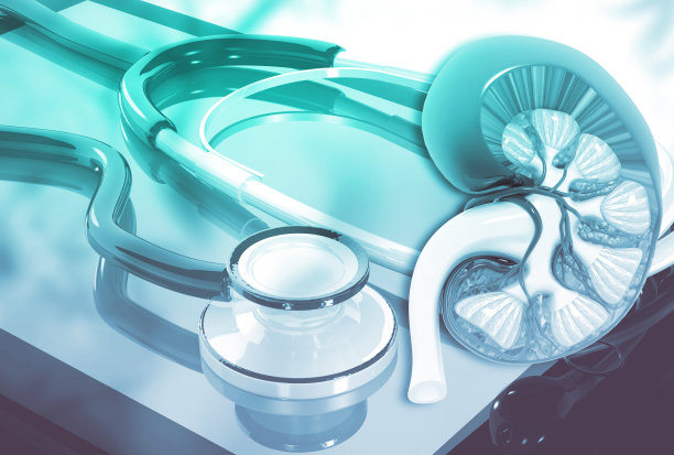 用听诊器解剖人体肾脏图片下载