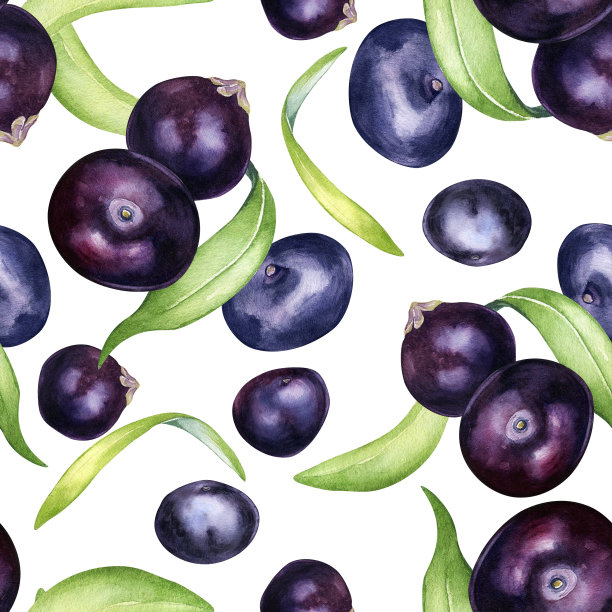 巴西莓和棕榈叶水彩无缝图案隔离在白色。奇异的亚马逊小紫色浆果，热带水果手绘。包装、纺织、包装、背景、纸张设计图片下载