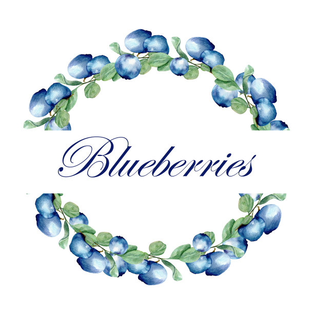 卡片模板与水彩手绘蓝莓的分支。明信片、产品、包装设计。食品设计图片下载