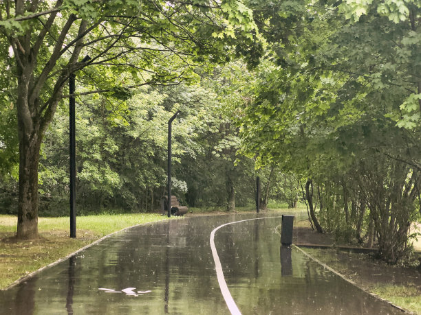 公园观景步行区阴天下雨图片下载