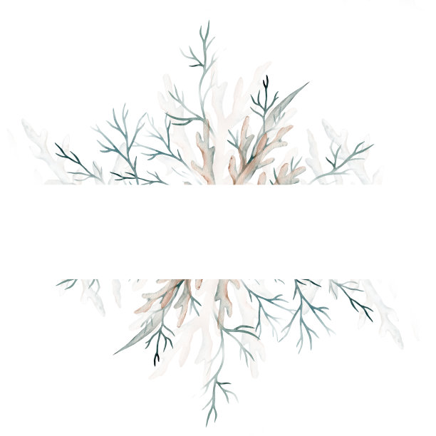 水彩横幅与绿色的海藻，珊瑚。海洋框架。装饰元素的贺卡。插图图片下载