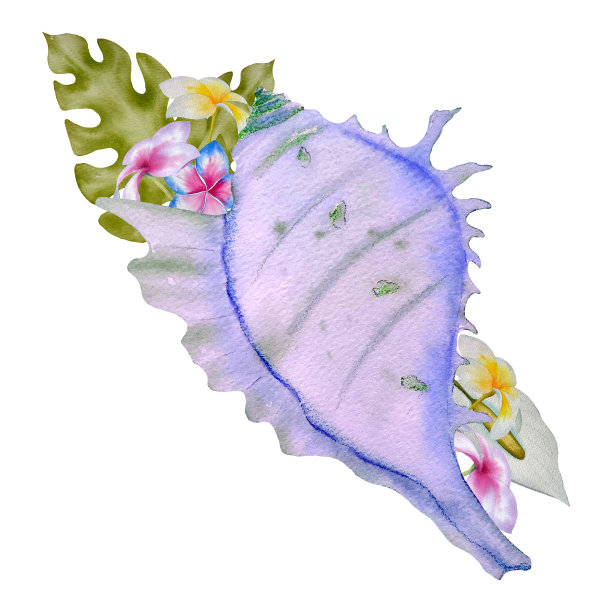 白色背景上的贝壳、热带花朵和树叶的热带构图。图片下载