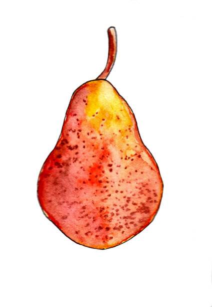 红梨写实图片下载