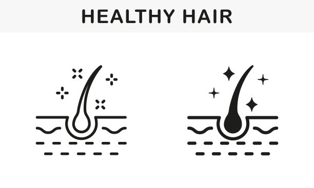 健康的人类毛囊光泽线和轮廓黑色图标集。有光泽的毛囊象形图。头发光泽与角蛋白效果符号集合。孤立矢量图图片下载