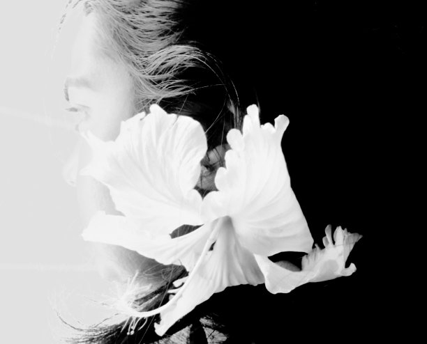 我头发上的花图片下载