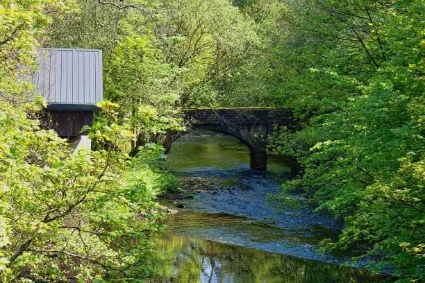 河上大桥图片下载