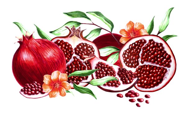 石榴和他们的一半组成的种子，叶子和花，手绘水彩技术标记插图图片下载