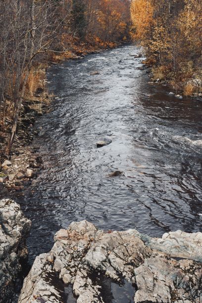 挪威托滕和姆约萨湖附近的森林里，一条流动的秋河的垂直照片图片下载