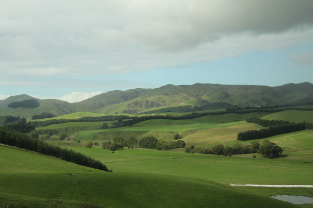 新西兰图片下载