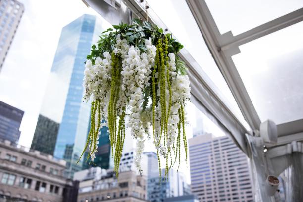 鲜花仪式设计：玫瑰、蜡烛、蛋糕等婚礼装饰图片下载