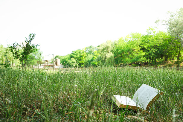 花时间在大自然-野餐，野餐的配件图片下载