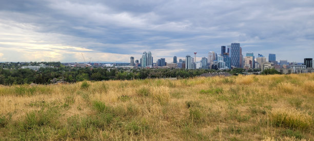 汤姆坎贝尔公园景观(3)图片下载