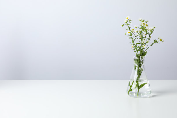 制作化妆品概念的构图，用花制作化妆品图片下载