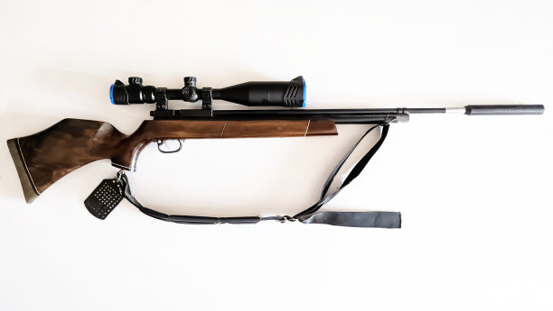 木柄气枪图片下载