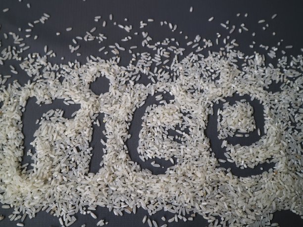 在灰色背景上用米粒写的RICE文本。图片下载