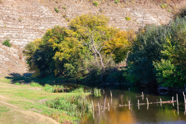 秋天的风景，有河流和树木图片下载