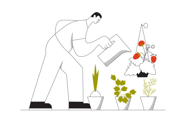 男人在给自家种植的蔬菜浇水图片下载