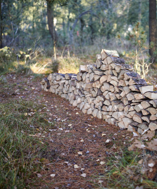 林中人工林清除后的林木原木。来自采伐地点的原始木材。砍树原木。一堆堆劈开的木头。环境和非法砍伐森林。伐木业图片下载