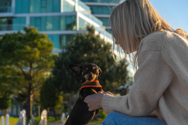 年轻女子在街上抓着那只小猎犬的爪子，小猎犬看着镜头。和一只小狗玩游戏图片下载
