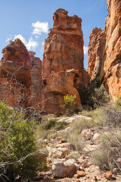 Cederberg岩层12834图片下载