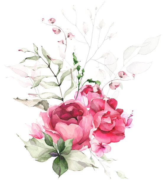 绿色植物安排水彩画。花束与绿色植物，绿叶，粉红玫瑰，牡丹和野花。图片下载