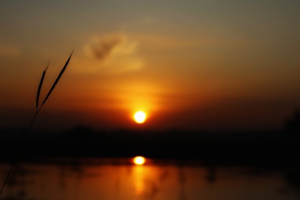 日出时太阳在水面上的影子图片下载