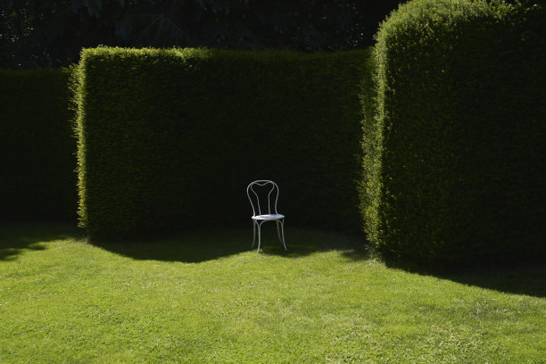 查斯·德·查尔丹图片下载