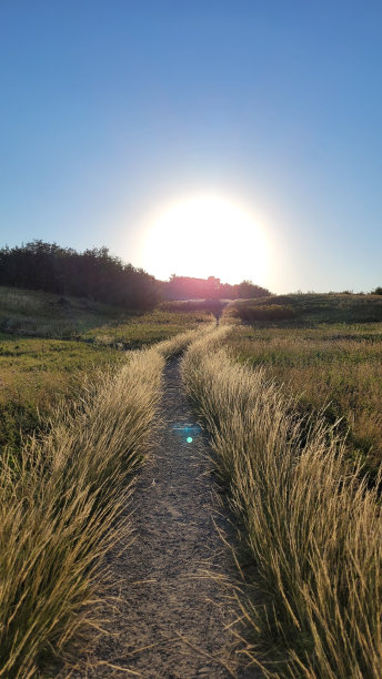 鼻山公园(5)图片下载