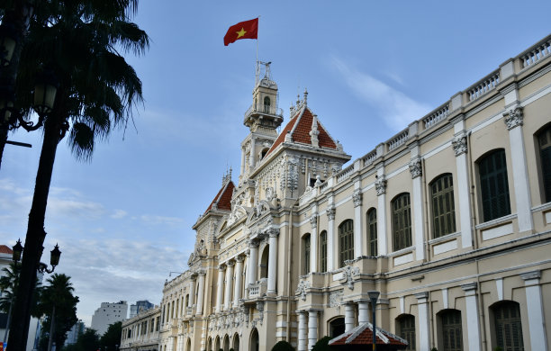 胡志明市人民委员会，长镜头，左框棕榈树图片下载