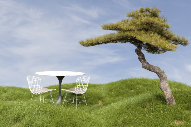 摘要3d渲染平台和自然的讲台背景，白色的桌子和椅子设置在草地上，松树，背景蓝天和云彩的产品展示，广告，模型等图片下载