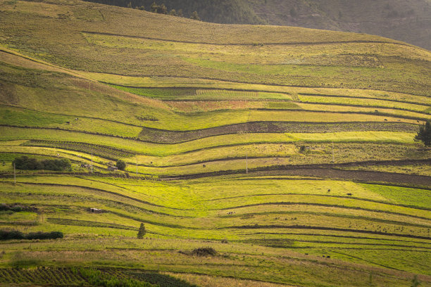风景优美，有丘陵和山脉的乡村图片下载