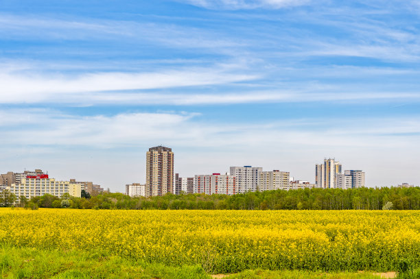 柏林卫星城的景观。图片下载