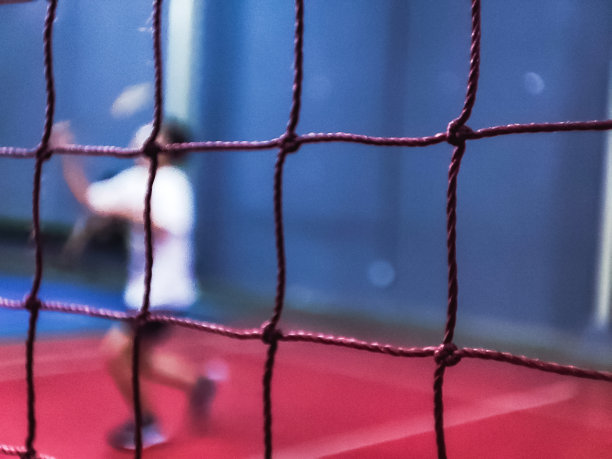 羽毛球运动主题图片下载