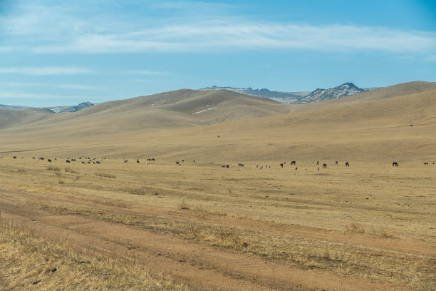 蒙古中部胡斯泰国家公园胡斯泰山脉景观图片下载