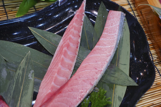 金枪鱼图片下载