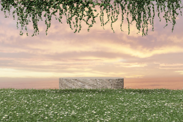 3d渲染日落自然背景，石头讲台上的鲜花和草地上的常春藤叶子，用于产品展示，化妆品，模拟或等图片下载