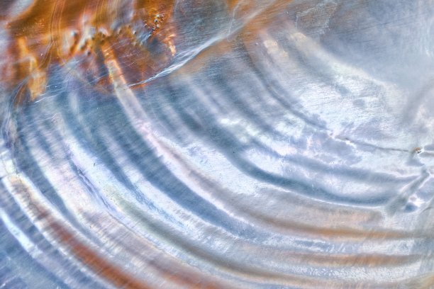 抽象珍珠白色纹理背景图片下载